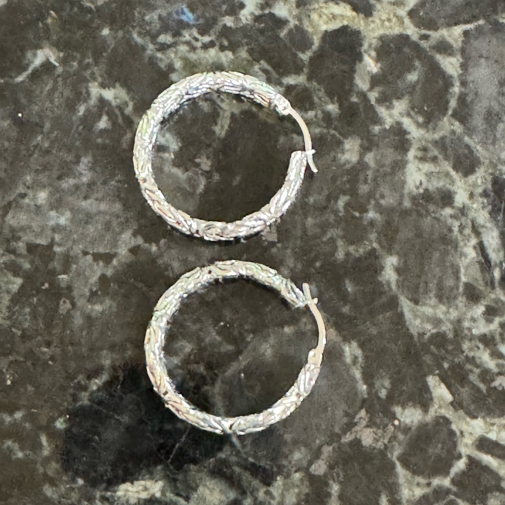 Elegant Silver Hoop Earrings